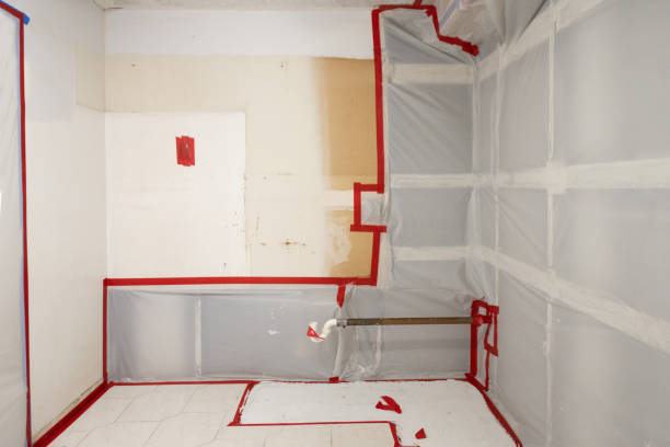 Best Basement Mold Removal  in Laware City, DE