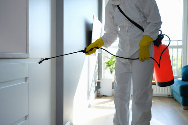 Best Mold Prevention Services  in Laware City, DE