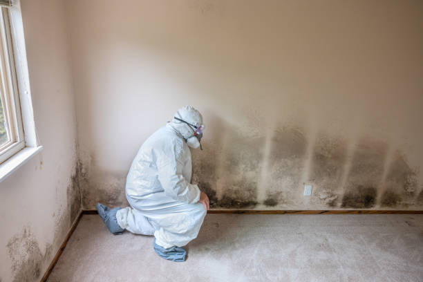 Best Mold Removal for HVAC Installations  in Laware City, DE